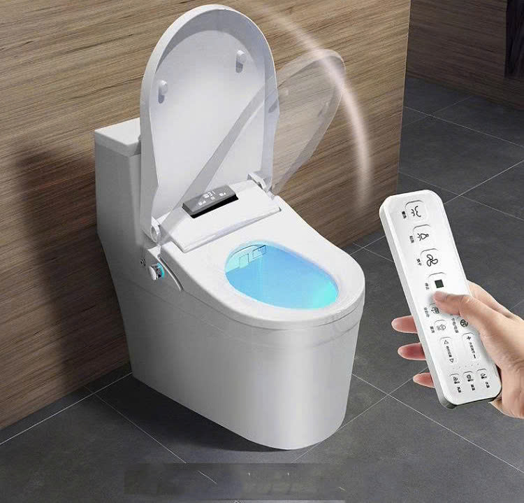 Nắp Bồn Cầu Thông Minh Đầy Đủ Chức Năng Cao Cấp NBCTM006