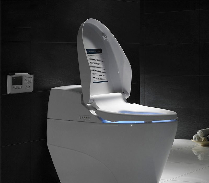 Bồn Cầu Thông Minh Giá Rẻ Tại TP.HCM Bảng Giá Mới Nhất