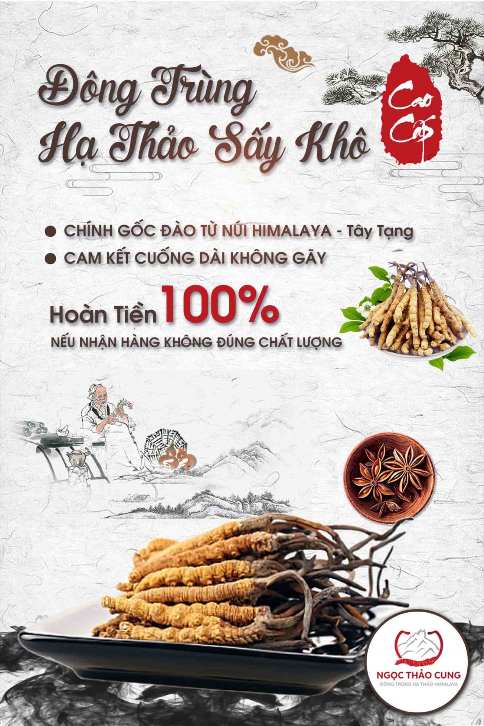 Đông Trùng Hạ Thảo Sấy Khô Nguyên Con từ núi HIMALAYA Cao Cấp Giá Rẻ Tphcm