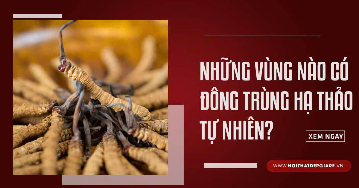 Những Vùng Nào Có Đông Trùng Hạ Thảo Tự Nhiên?