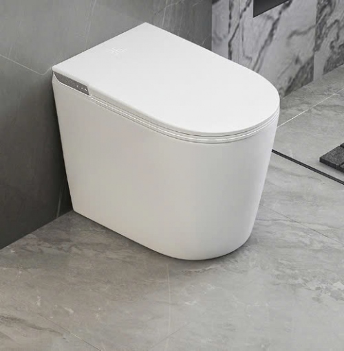 Bồn cầu toilet thông minh mini 58cm diệt khuẩn tối đa 047