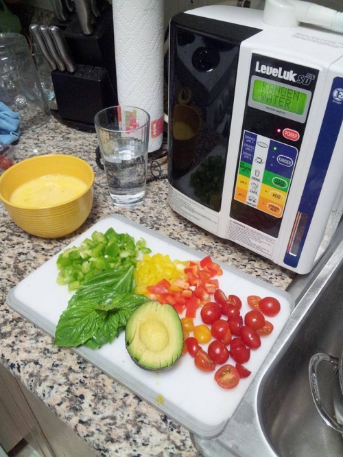 Cách sử dụng máy lọc nước nấu ăn Kangen hiệu quả nhất
