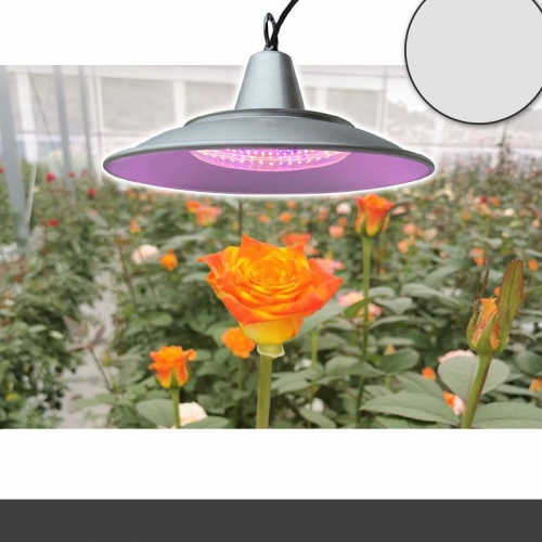 Đèn led quang hợp 100W trồng hoa trong nhà kính chống thấm nước 016