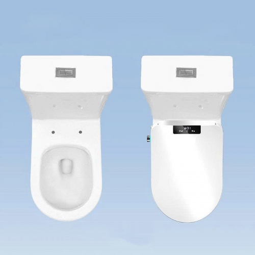 Nắp Bồn Cầu Thông Minh Đầy Đủ Chức Năng Cao Cấp NBCTM006