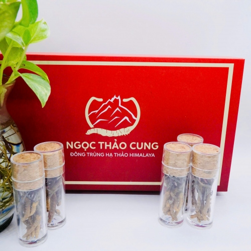 Set 2 Con Đông Trùng Hạ Thảo (Loại Nhỏ 10gr ~ 50 con)