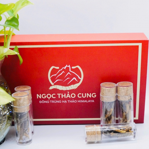 Set 20 Con Đông Trùng Hạ Thảo (Loại Nhỏ 10gr ~ 50 con)