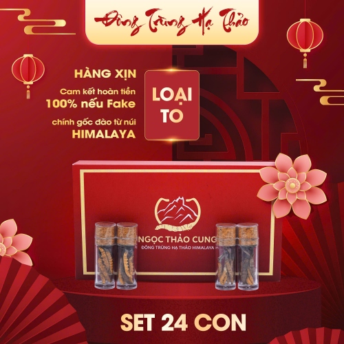 Set 24 Con Đông Trùng Hạ Thảo (Loại To 10gr ~ 30 con)