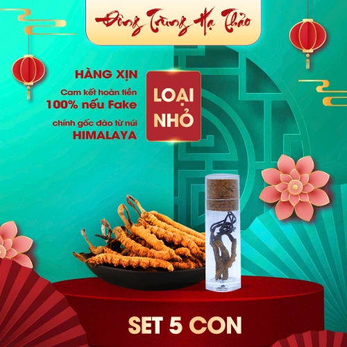 Set 5 Con Đông Trùng Hạ Thảo (Loại Nhỏ 10gr ~ 50 con)