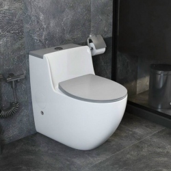 Bồn cầu toilet 1 khối trứng Tora Sanitary KT-031NT