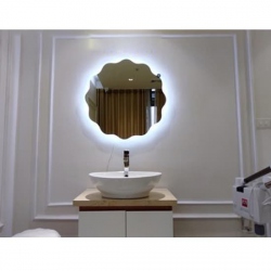 Gương treo phòng tắm hình hoa có đèn led...