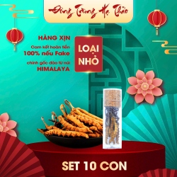 Set 10 Con Đông Trùng Hạ Thảo (Loại Nhỏ 10gr ~ 50 con)