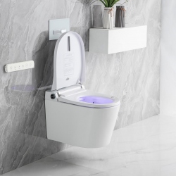 Top Mẫu Bồn Cầu Thông Minh Âm Tường Đáng Mua Nhất Hiện Nay