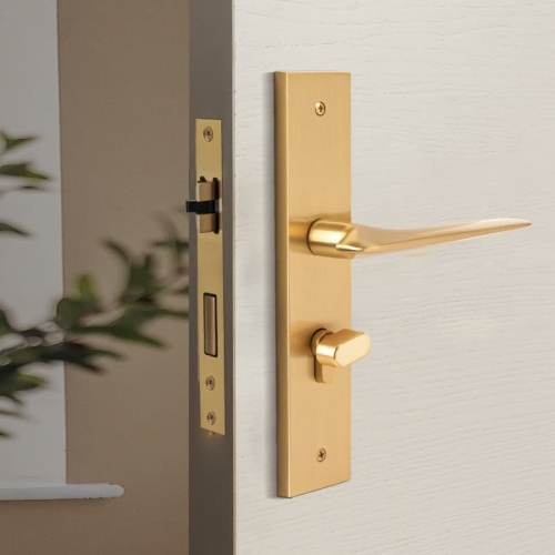 Tiết Lộ 4 Cách Chọn Khóa Cửa Tay Gạt Cho Nhà Phong Cách Tối Giản